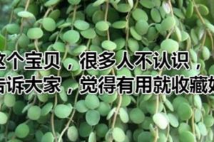 這個寶貝，很多人根本不認識，今天就告訴大家，覺得有用就收藏好