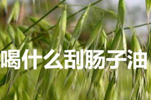 喝什麼刮腸子油？桑葉荷葉茶。刮油很明顯，喝它不節食的情況下一個月大概可以減5-10斤