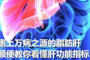 不喝酒也會患上萬病之源的脂肪肝！順便教你看懂肝功能指標