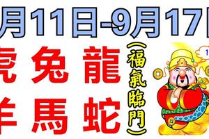 12生肖周運勢！虎、兔、龍、羊、馬、蛇！福氣臨門！（9月11日—9月17日）