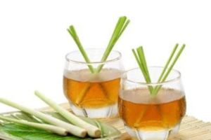 中醫推薦「檸檬香茅茶」：降膽固醇、排毒、助消化！小小一杯喝出-每日健康
