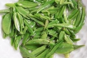 血管年輕，人不老！每天一杯「茶」，養護血管降三高