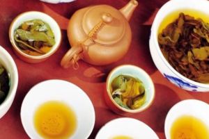 桑寄生茶有什麼功效？如何喝桑寄生茶？
