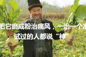 把它磨成粉治痛風，一治一個准，試過的人都說「神」