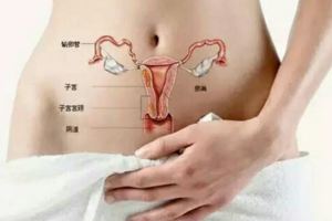女性不排卵會有什麼症狀其實都是它們惹的禍