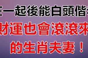 在一起後能夠白頭偕老,財運也會滾滾來的生肖夫妻！