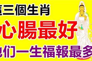 心腸最好，這三個生肖一生福報最多，尤其是11月！