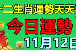 十二生肖運勢天天看，今日運勢：11月12日