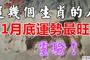 這幾個生肖的人11月底運勢最旺！