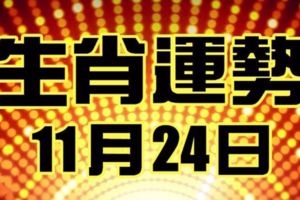 11月24生肖運勢，意外之財的光顧，得到白富美的芳心