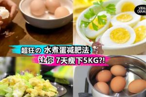 【7天就能快熟瘦下5KG?!】省Money又健康の水煮蛋減肥餐單大公開♥讓你一個星期內瘦到啊媽都不認得~