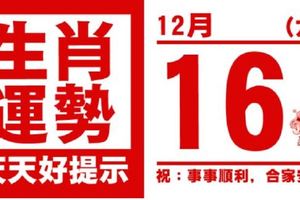 來看看，生肖運勢，天天好提示（12月16日）