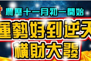農曆十一月初一開始，運勢好到逆天，橫財大發的生肖，轉發分享，福氣自來。
