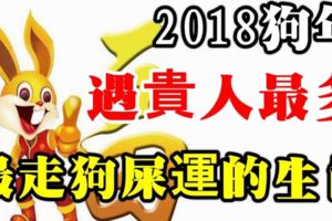 2018狗年，遇貴人最多最走狗屎運的生肖！