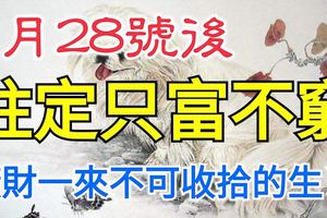 1月28號後大吉大利，橫財一來不可收拾，註定只富不窮的生肖！