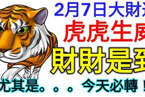 2月7日大財運！虎虎生威！這幾個生肖財財是到！由其是。。。今天必轉！