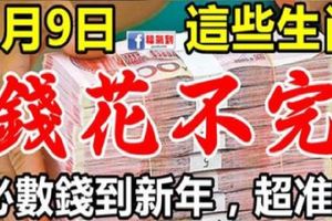 2月9日，這些生肖翻身大轉運，數錢到明年，錢註定花不完！