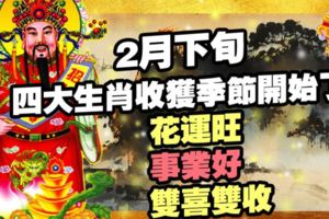 2月下旬，四大生肖收穫季節開始了！桃花運旺，事業好，雙喜雙收