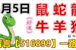 3月5日生肖運勢_鼠、蛇、龍大吉