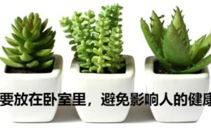 家裡不要擺這6種植物，當心搞壞一家人的身體！還有人不知