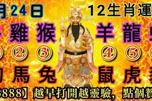 13生肖運勢-6月24日星期日