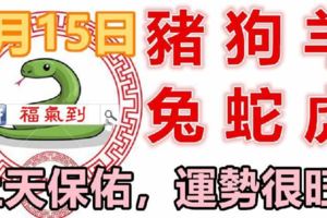 8月15日生肖運勢_豬、狗、羊大吉