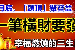 8月底，「頭頂」聚寶盆，一筆橫財要發，幸福燃燒的3生肖