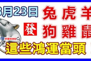 8月23日生肖運勢_兔、虎、羊大吉