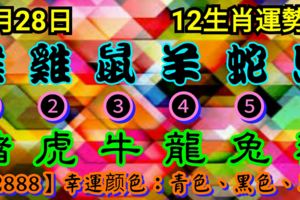 2018年8月28日星期二，農歷七月十八（戊戌年庚申月壬辰日）