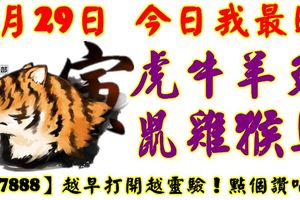 8月29日，今日我最旺！虎牛羊兔鼠雞猴馬！【77888】越早打開越靈驗！點個讚吧！