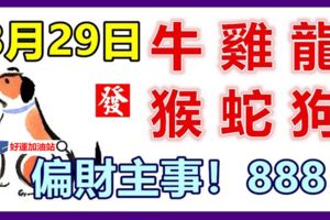 8月29日生肖運勢_牛、雞、龍大吉