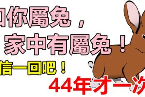 迷信一回吧如果你不屬兔，你最愛的人屬兔，或家中有屬兔，41年才一次