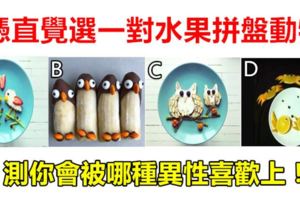 愛情測試：憑直覺選一對水果拼盤動物，測你會被哪種異性喜歡上！