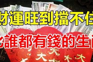 11月份財運旺到擋不住，比誰都有錢的五大生肖