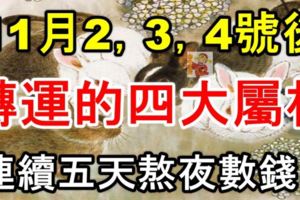 11月2，3，4號後轉運的四大屬相，連續五天熬夜紅著眼數錢！