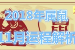 2018年屬鼠11月運程解析