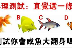 心理測試：你認為哪條魚遊得最快？測試你會不會鹹魚大翻身！