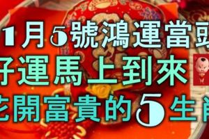 11月5號鴻運當頭，好運馬上到來，花開富貴的5生肖！