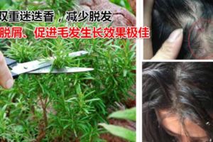 醫生直言：這4種洗發水別再買回家，號稱頭皮死敵，商家根本不用