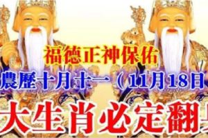 福德正神保佑農曆十月十一（11月18日）8大生肖必定翻身，趕快看看有沒有你？