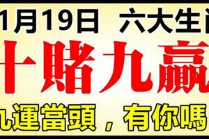 11月19日後，這六大生肖走偏財運，九運當頭，十賭九贏！