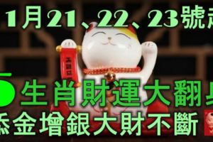 11月23、24、25號起，5生肖財運大翻身，添金增銀，大財不斷！