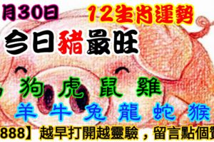 2018年11月30日，星期五農歷十月廿三（戊戌年癸亥月丙寅日）