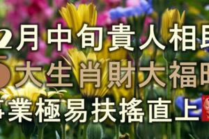 12月中旬貴人相助，步步高升，5大生肖財大福旺，事業極易扶搖直上！