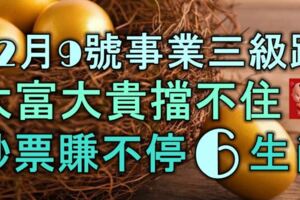 12月9號起，事業三級跳，大富大貴擋不住，鈔票賺不停的6大生肖！