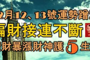 12月12、13號起，運勢蹭蹭漲，偏財接連不斷，橫財暴漲財神護的5大生肖！