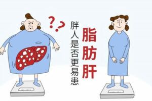 脂肪肝普遍存在的5大誤區，科學1調4養護，「甩」掉脂肪更健康