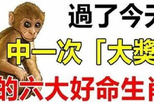 15號過後，必中一次百萬大獎的6大生肖，接住必能富貴10年