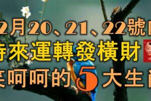 12月20、21、22號三天裡，時來運轉發橫財，笑呵呵的5大生肖！