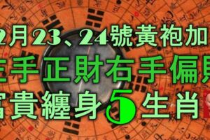 12月23、24號黃袍加身，左手正財、右手偏財，富貴纏身的5大生肖！